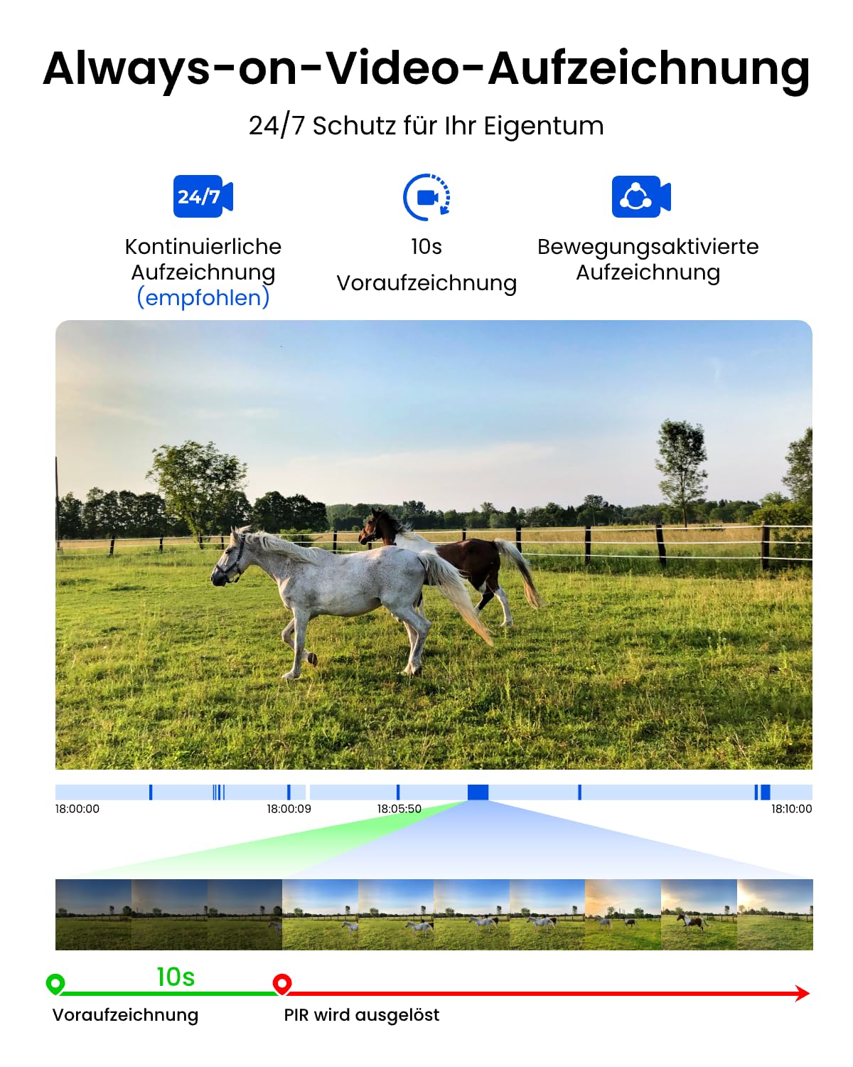 Reolink 4G LTE Überwachungskamera Akku mit SIM Karte, Lokaler Speicher, 2K | 24/7-Aufzeichnung, Kamera Outdoor mit 30W Solarpanel, ColorX Nachtsicht, KI Erkennung, TrackMix LTE Plus 2 + Solarpanel Plus