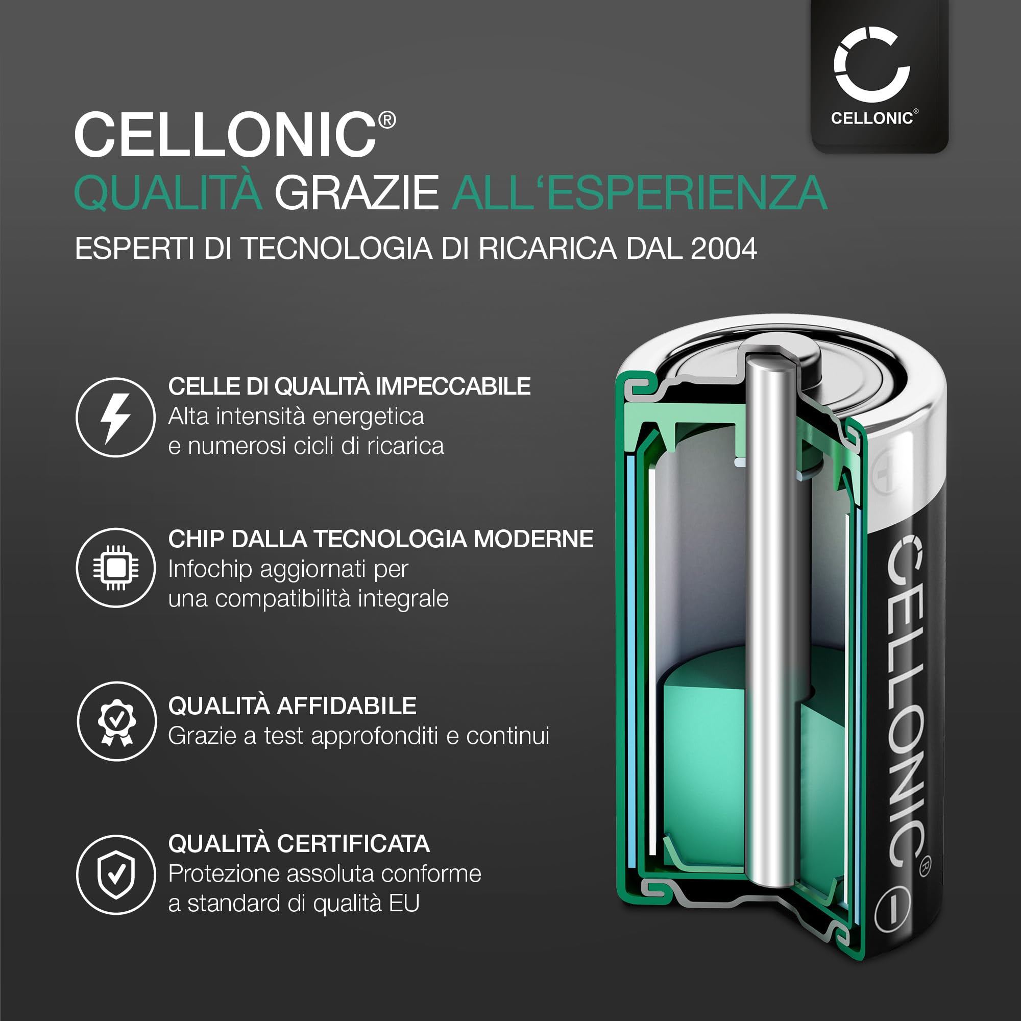 CELLONIC 1x Batteria compatibile con Panasonic DMW-BLJ31, Lumix DC-S1