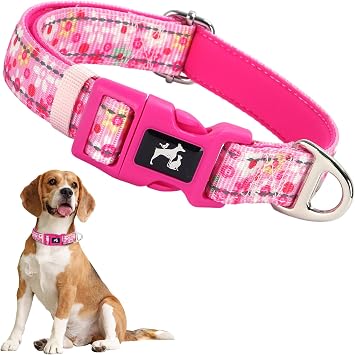 Girl Dog Collar,Reflective Cute Pink Flower Collar for Medium Large Extra Large Female DogsFlower M
