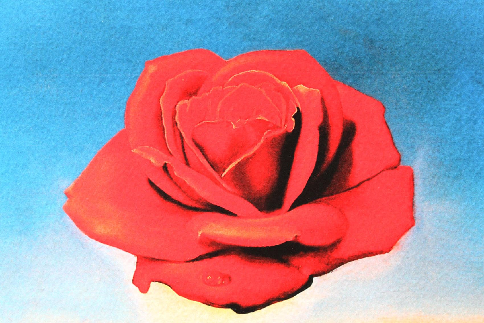 ダリ　瞑想する薔薇　アートパネル　額装 ダリ 瞑想する薔薇 アートパネル 額装 - メルカリ
