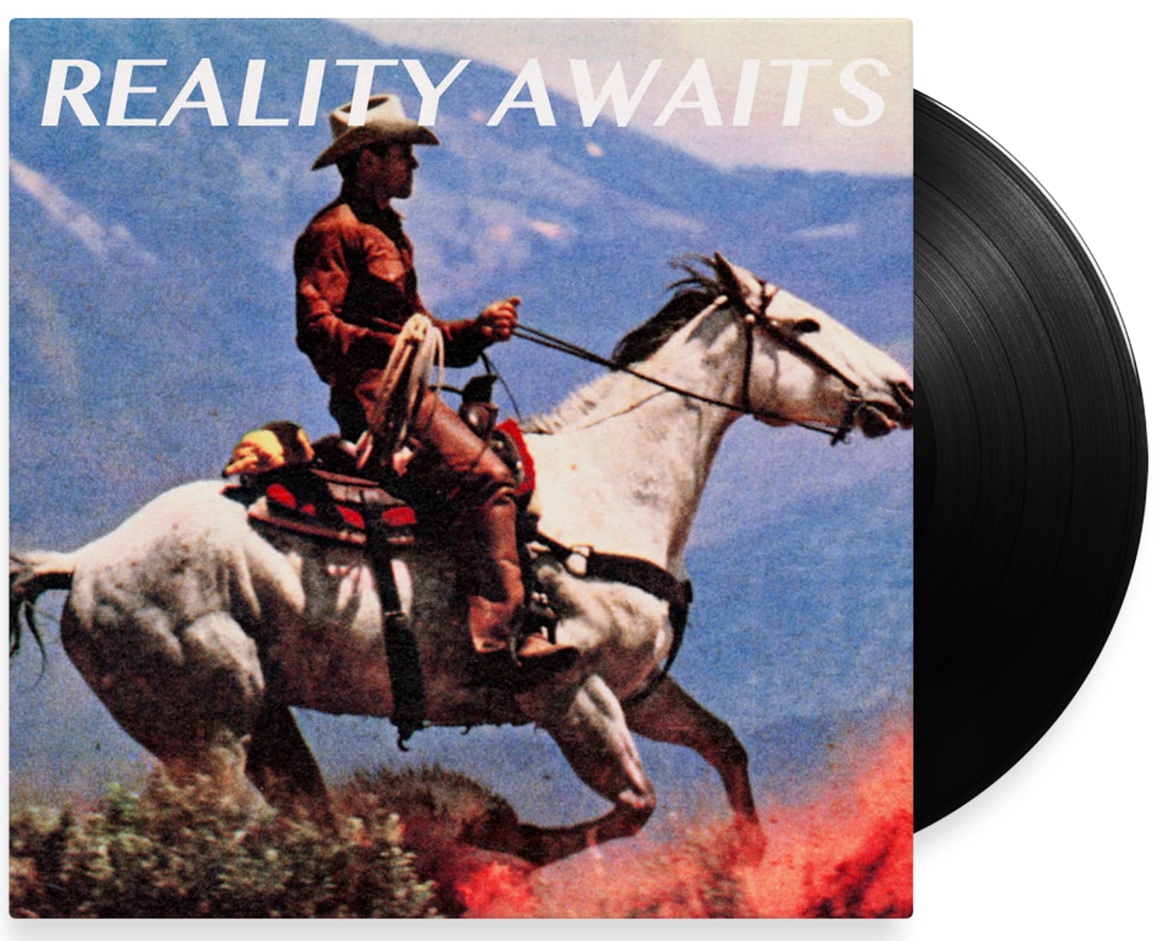 Reality Awaits [VINYL]