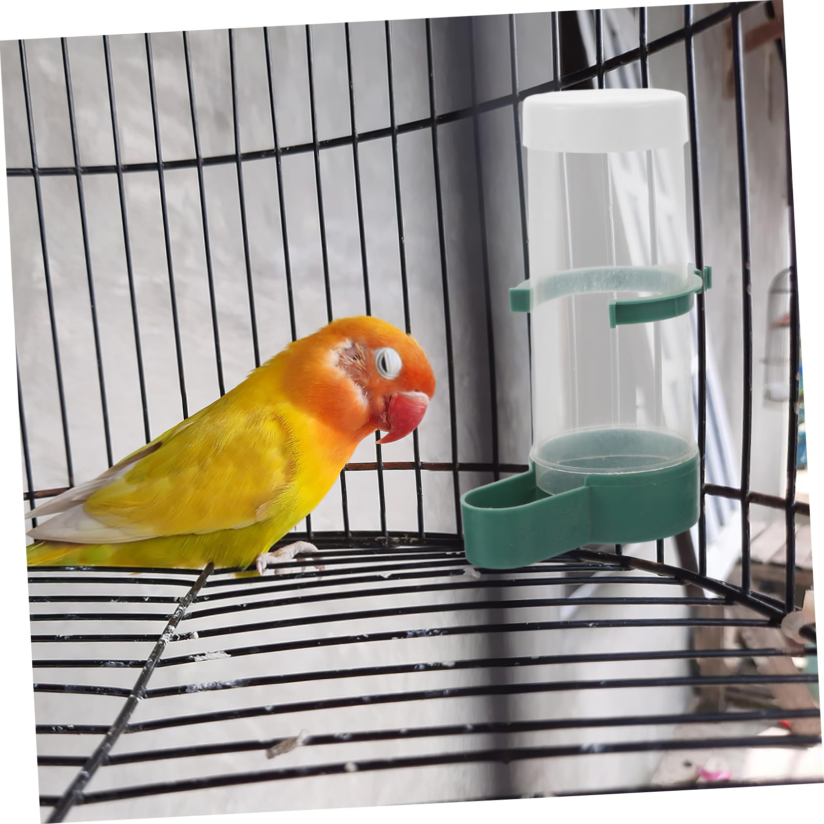 HANABASS 20pièces Distributeur Eau Automatique pour Oiseaux Nourrisseur Pratique pour Perruches Calopsittes Et Petits Oiseaux Accessoires De Cage pour Aliment Autonome Équilibré