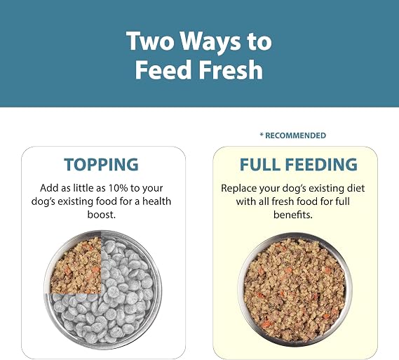 JustFoodForDogs Pantry Fresh Wet Dog Food, Complete Meal or Dog Food Topper, Lamb & Brown Rice Human Grade Dog Food Recipe - 12.5 oz (Pack of 6) | Fresh Pet Meal or Fresh Dog Food Topper, Human Grade Recipe Made With Whole Foods, Preservative-Free, 12.5 Oz Per Pack