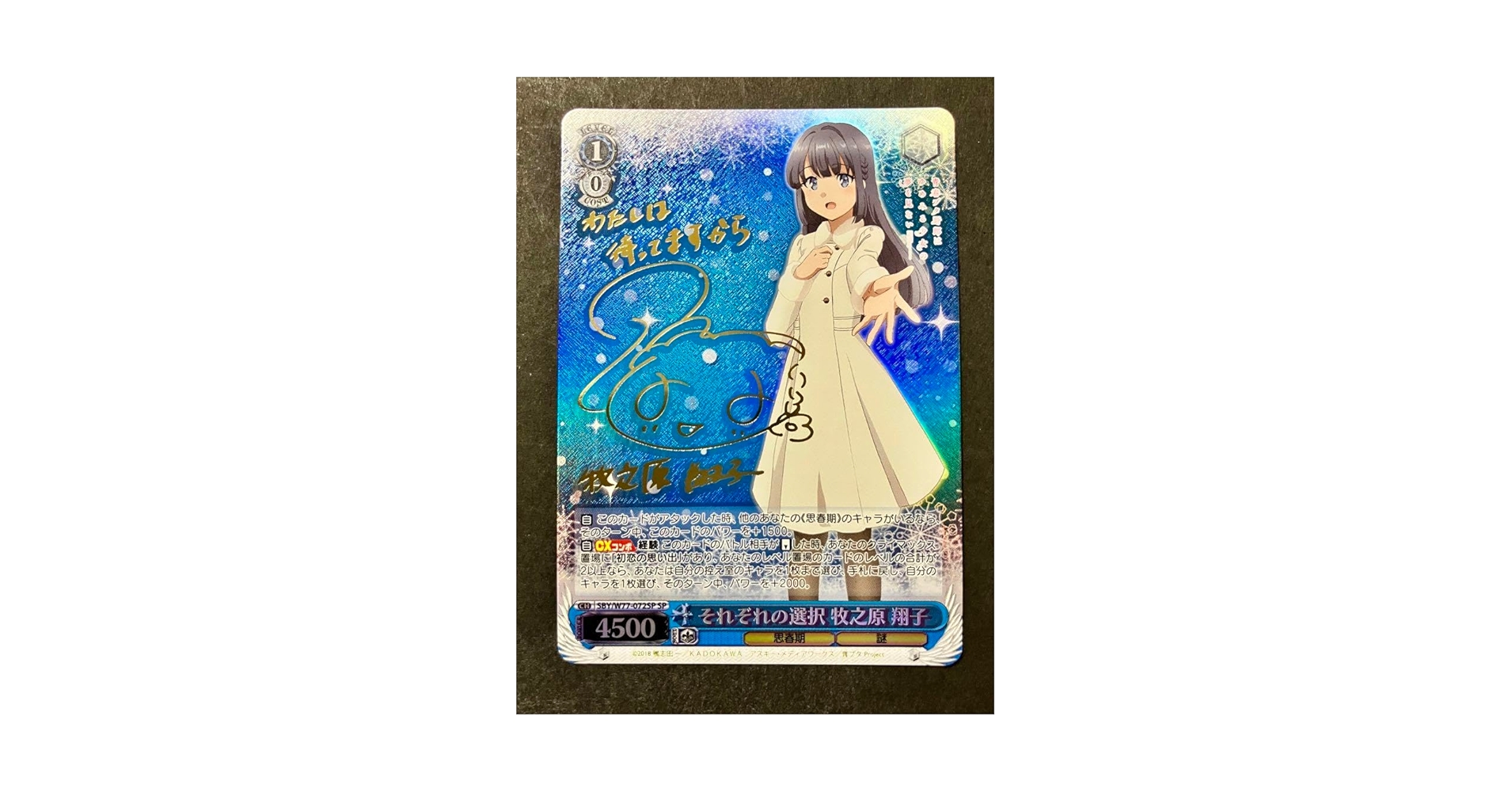 Amazon.co.jp: それぞれの選択 牧之原 翔子 SP サイン 青ブタ