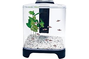 PENN-PLAX NuWave Betta Fish Tank Kit- Perfect for A Beta Fish