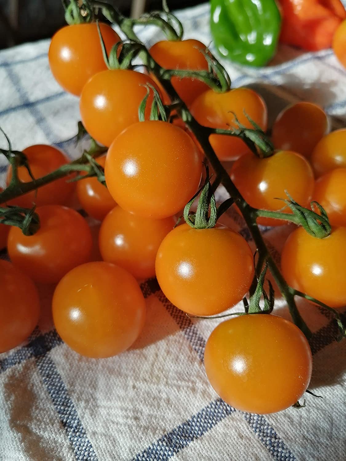 Hundredfold Honey Drop Cherry Tomato 30 Vegetable Seeds - Non-GMO