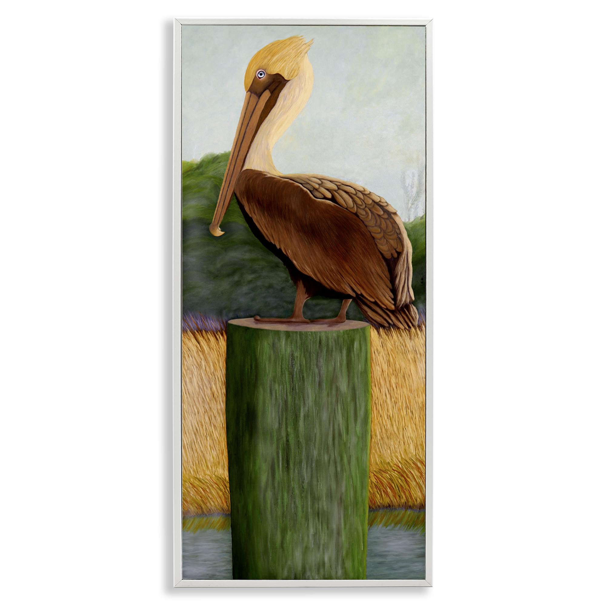 Stupell Industries Blue Eyed Pelican Portrait 'Blue Eyed Pelican'| Framed Giclee Art