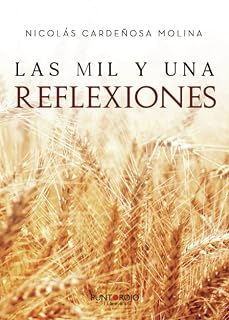 Las mil y una reflexiones