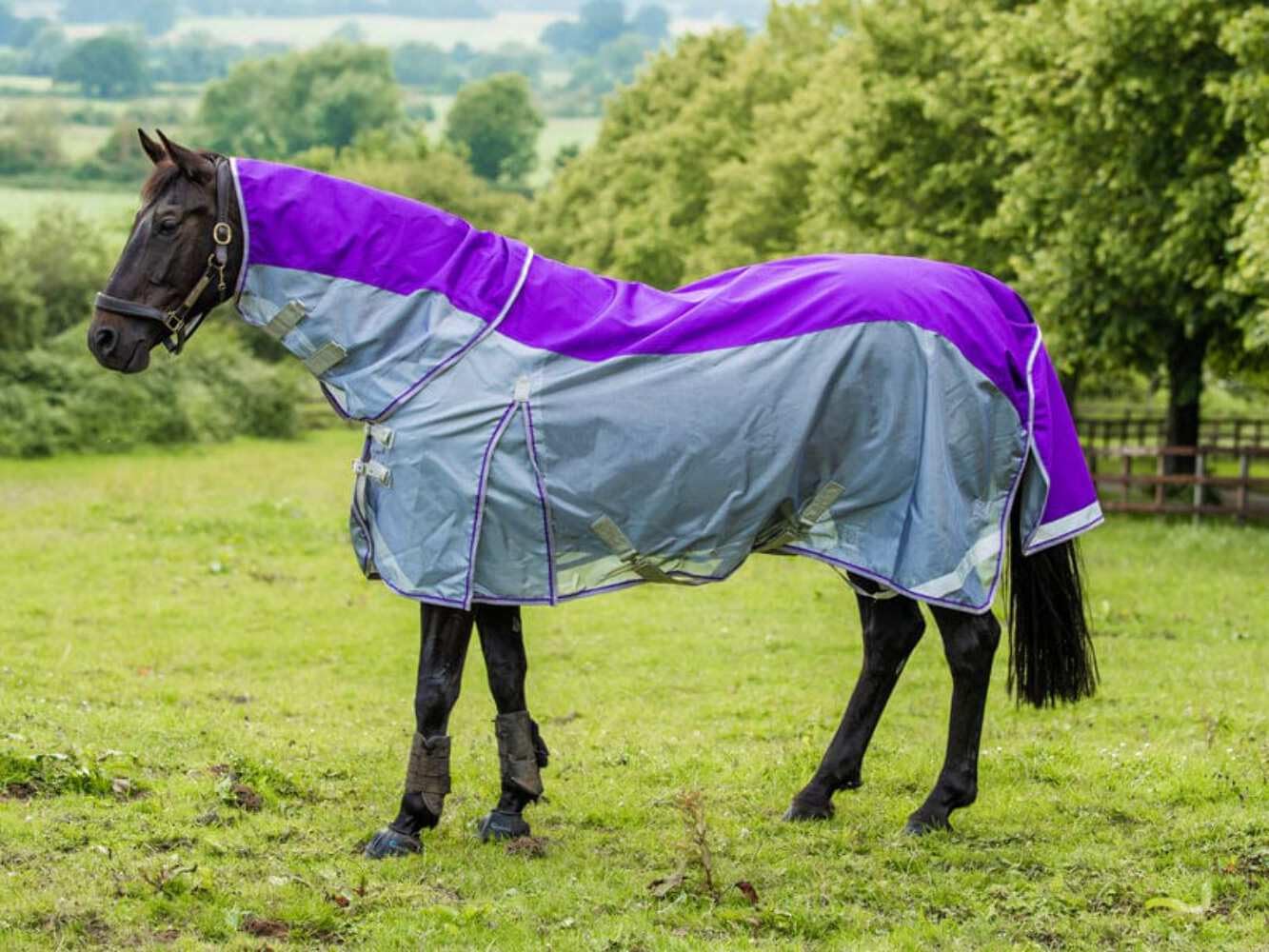 Swish Equestrian Fly Turnout Combination Rug - Purple