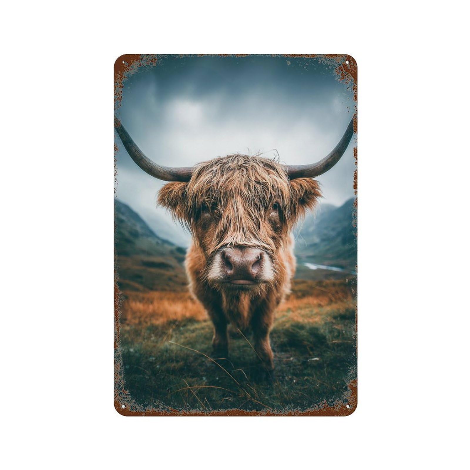 Scottish Highland Cow Portrait Weathered Tin Sign 11.8"x7.9", Industrial Home Decor for Basement, Hobby Room And Garage Decor