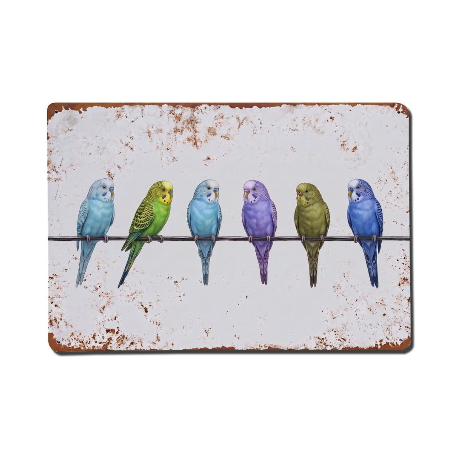Vintage Retro Birds Budgerigar Metal Tin Sign