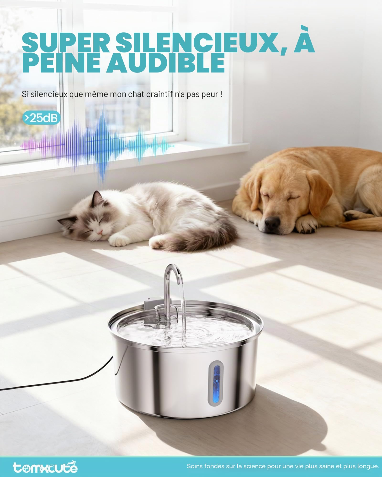 TOMXCUTE Fontaine a Eau Chat INOX (Acier Inoxydable, Robinet Fontaine à Eau pour Chat)