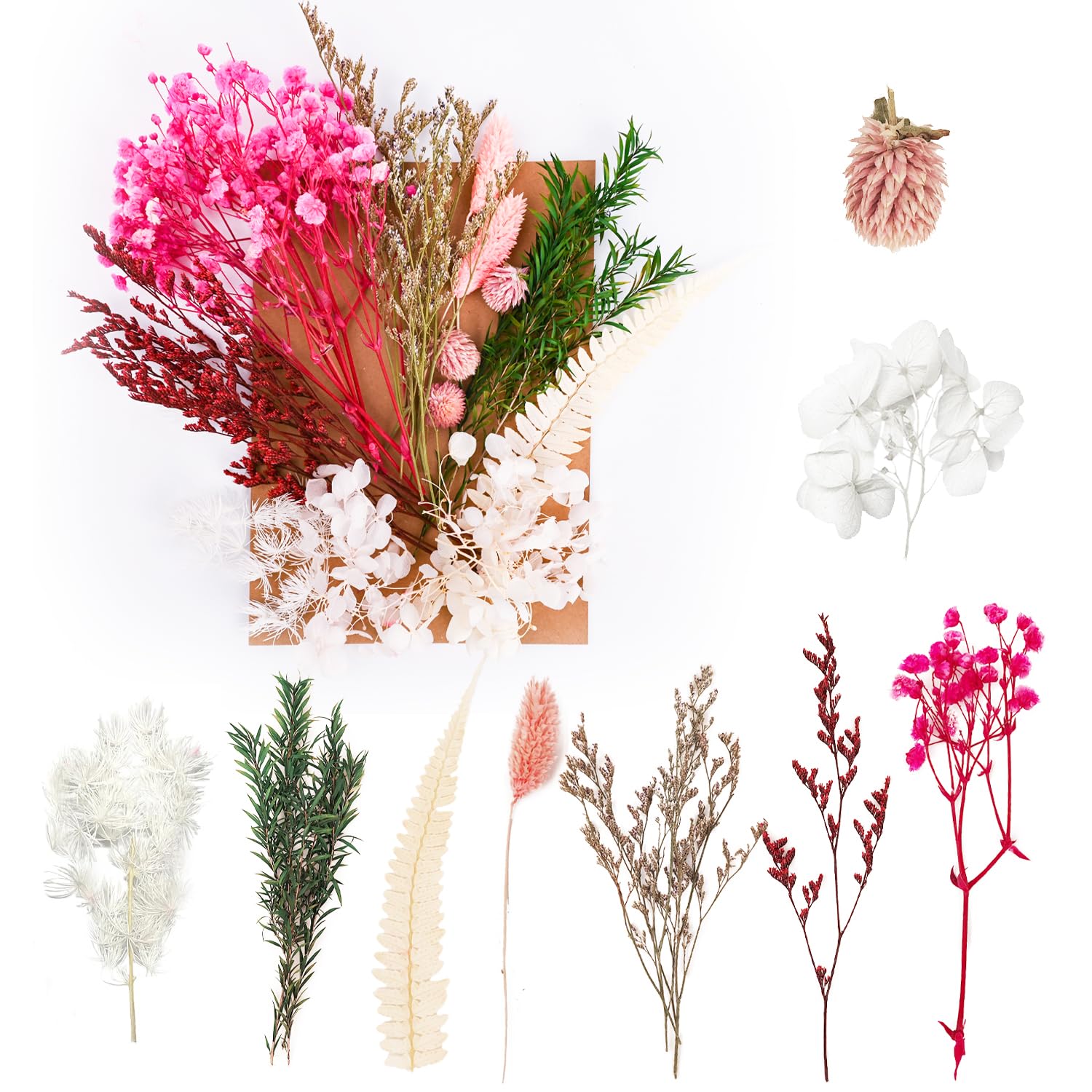 Dried Flowers