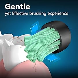 Toptheway Replacement Toothbrush Heads Compatible with Philips Sonicare Protectiveclean Dailyclean Plaque Control Electric Toothbrush 4100 5100 5300 C2 W2 G2 Black, 6 Pack