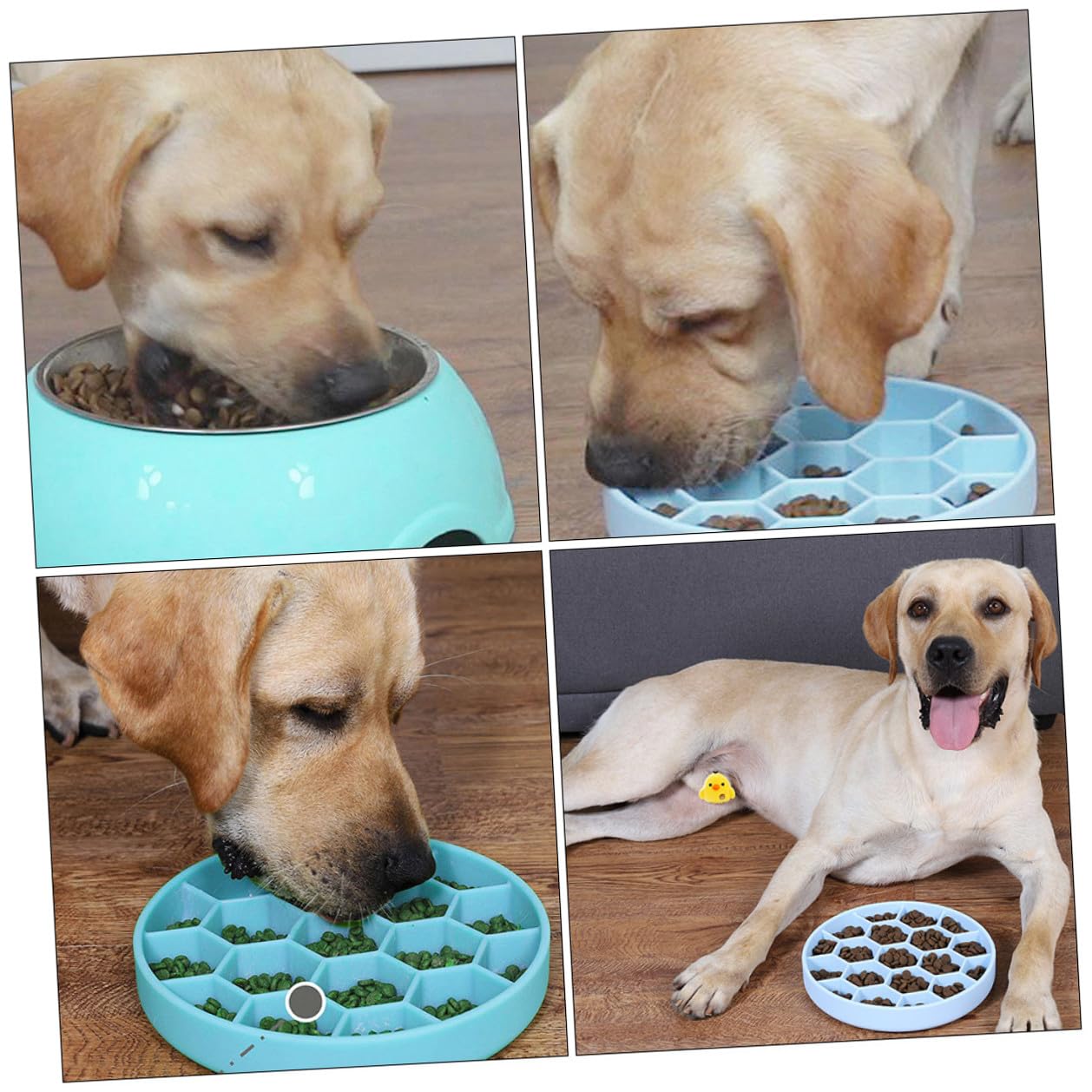 SHINEOFI Anti Erstickungs Hundeschüssel Silikon Slow Feeder Napf rutschfest Für Kleine Hunde Und Katzen Haustierbedarf