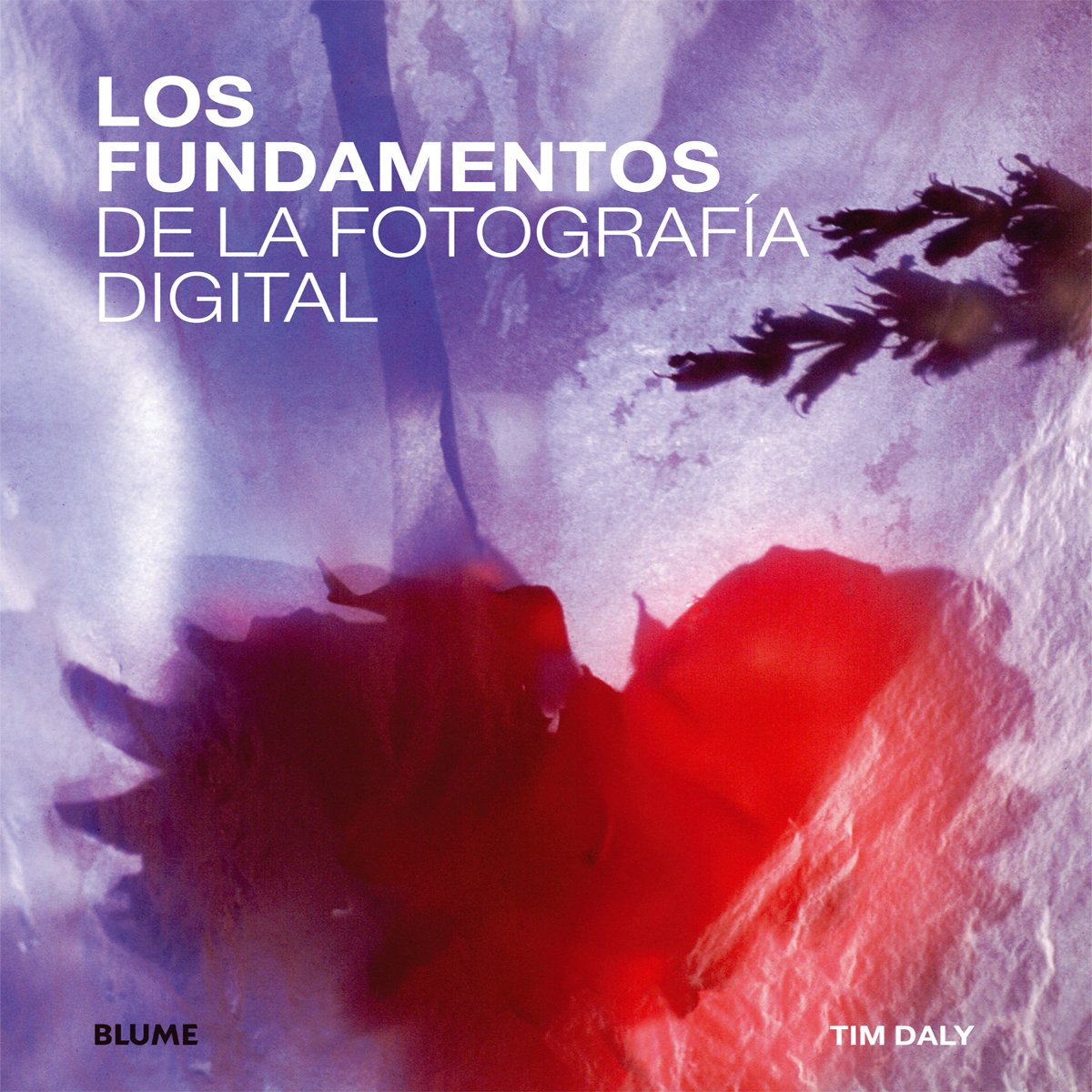 Fundamentos de la fotograf¡a digital (SIN COLECCION)