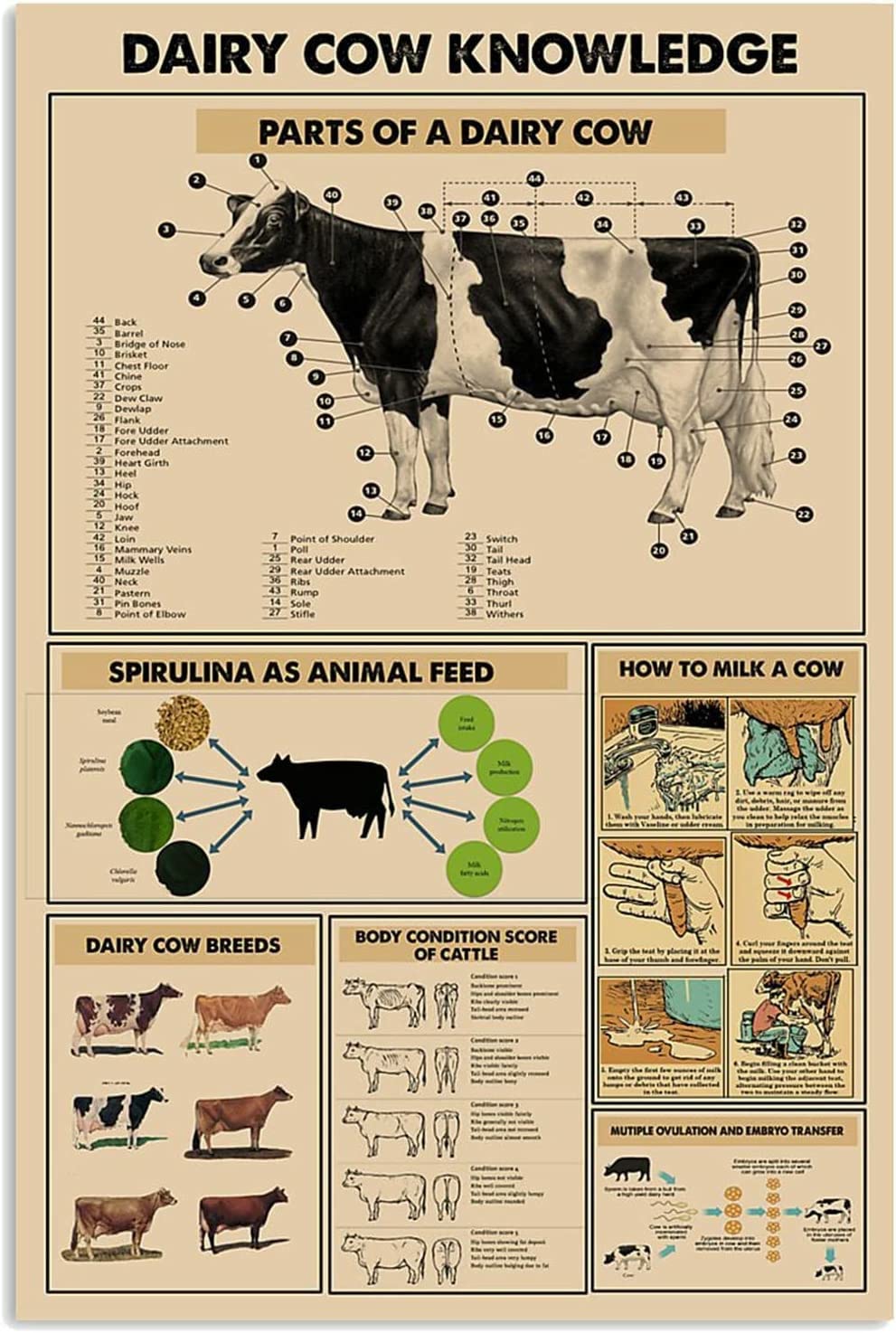 Knowledge of Cows Vintage Outhouse Vintage Metal Sign Garage Sign Garage Home Wall Decor Poster Vintage 12x8inch Tin Sign