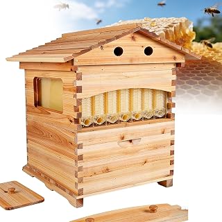 Small Beehive Starter Kit, Compact Self Flow Honey Beehive Box with Matching Bee Frames and Honeycomb Trays, Lightweight Beekeeping Tool for Family Garden Pollination