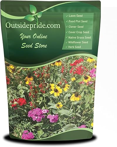 Outsidepride Southeast Wildflower Seed Mix - 1 LB