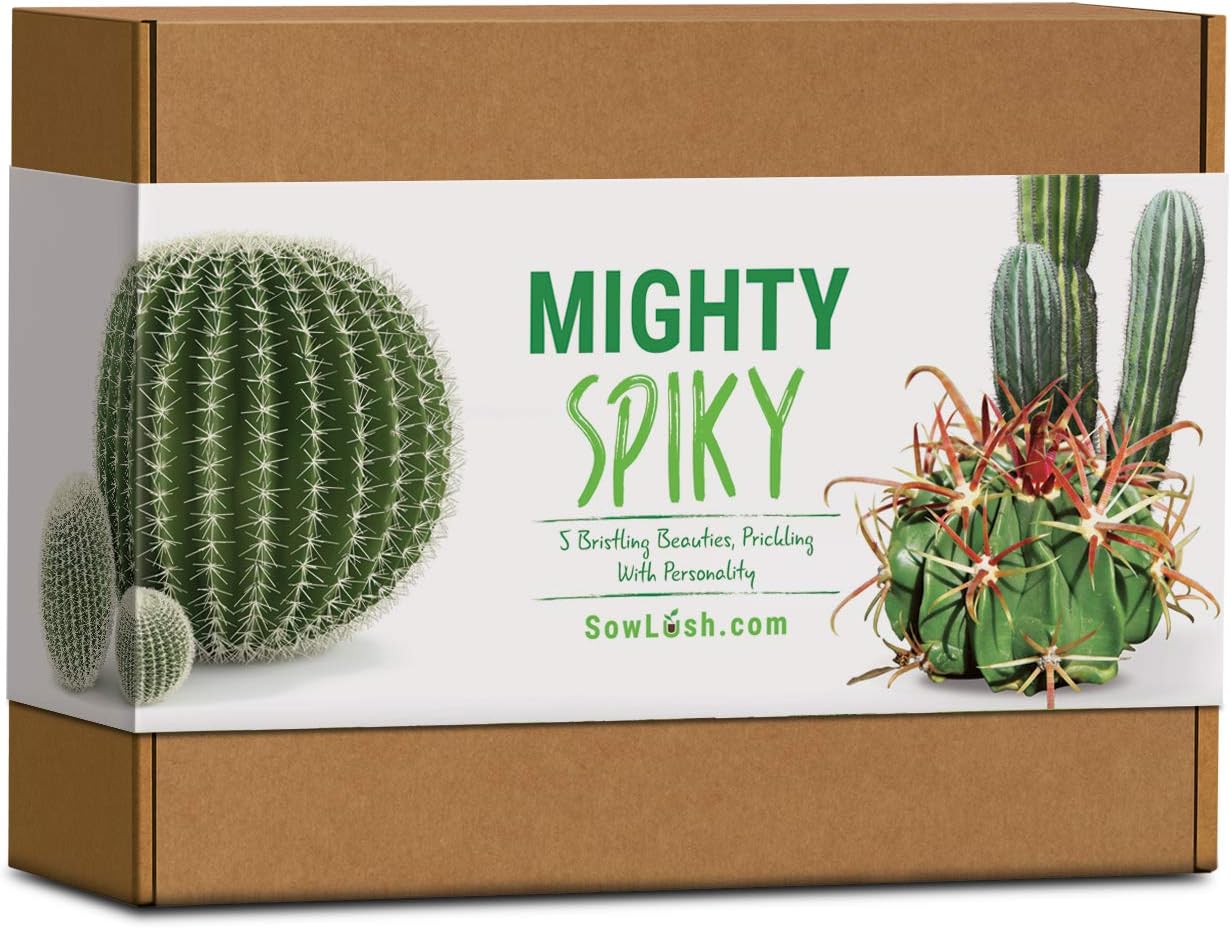 Mighty Spiky Cactus Gift Seed Kit. Easy to Grow 5 Bristling Beauties Packed with Personality