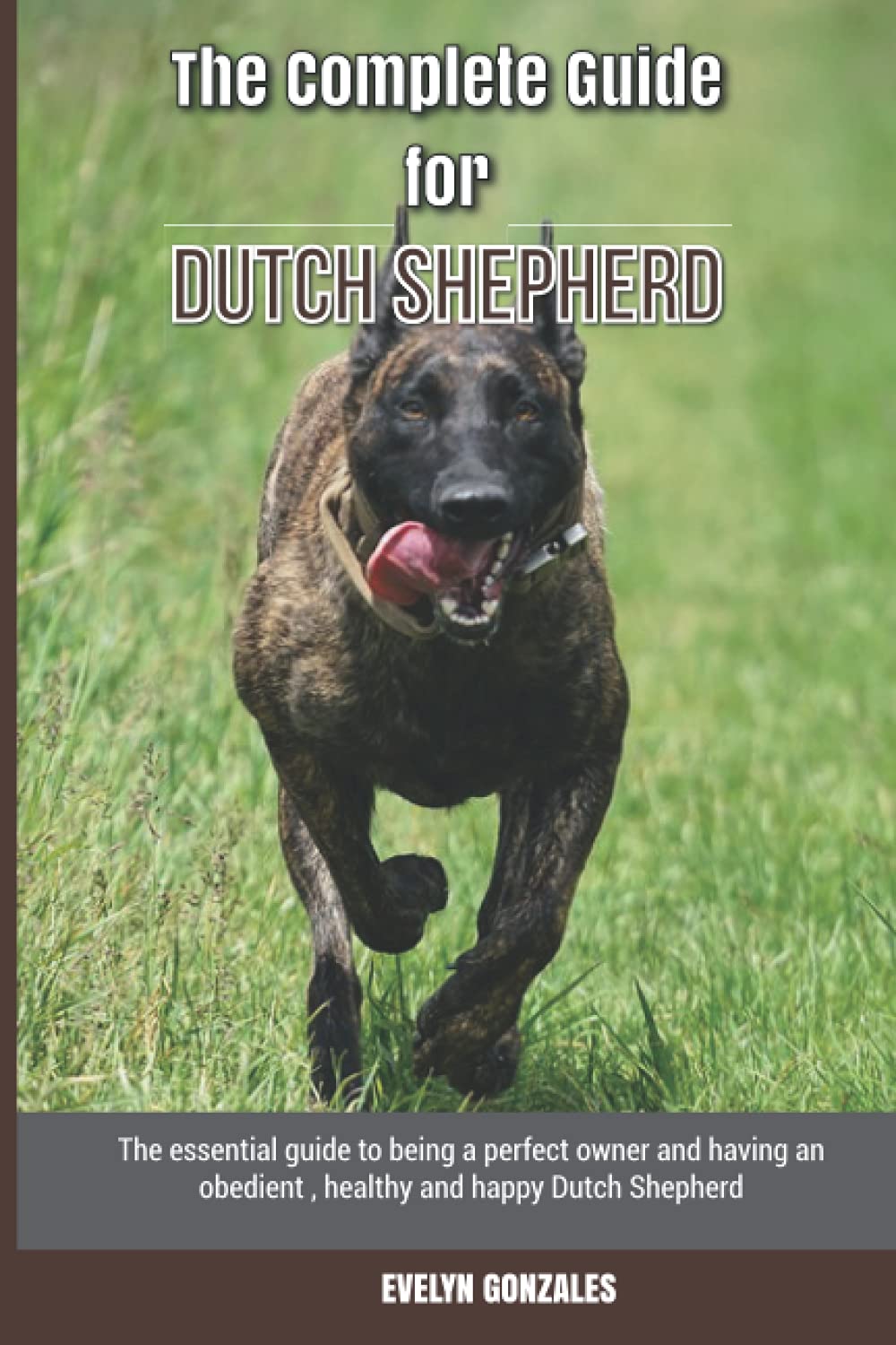 The Complete Guide for Dutch Shepherd: The essential guide to being a perfect owner and having an obedient, healthy, and happy Dutch Shepherd