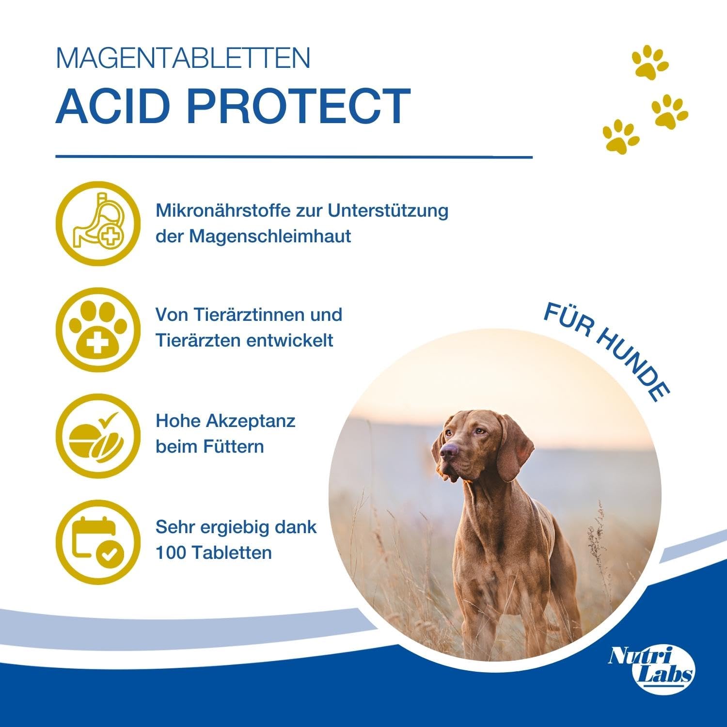 NutriLabs Canicox-HD Gelenktabletten für Hunde zur Unterstützung bei Gelenksproblemen mit Glucosamin, Chondroitin & Acid Protect Hund Magenkräuter Kautabletten zur Unterstützung