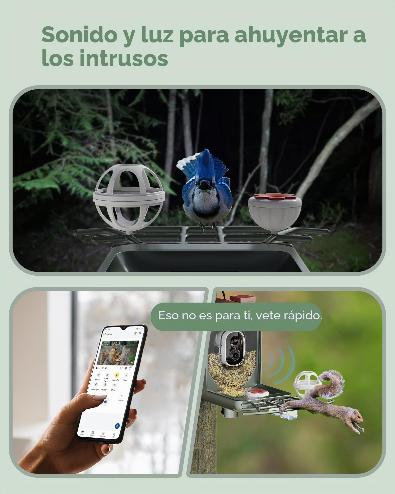 Comedero para pájaros con cámara solar al aire libre: cámara inteligente para jardín exterior, cámara de video en vivo HD 2K, reconocimiento de IA, ventana visible, captura automática, regalos para
