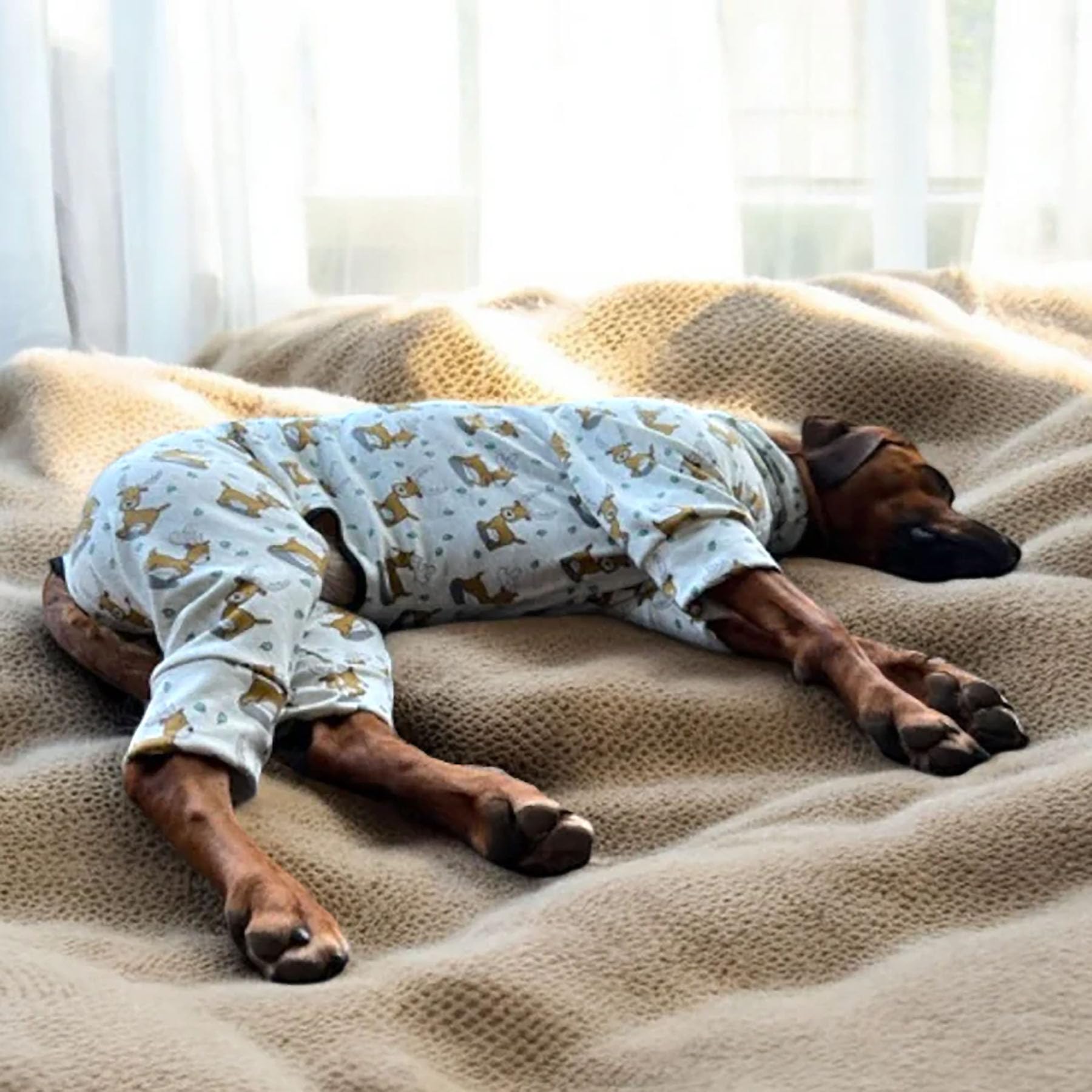 EDEL&SCHNELL Pull pour chien gris en coton douillet avec motif de cerf - Pyjama pour chien avec fermeture éclair - Body pour lévrier - Taille 40-45