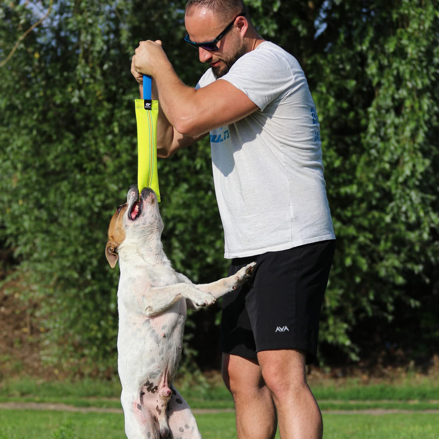 Bull Fit Manicotto per Cani, Cuciture Esterne, Fiocco, Manichetta Antincendio, Addestramento, Gioco