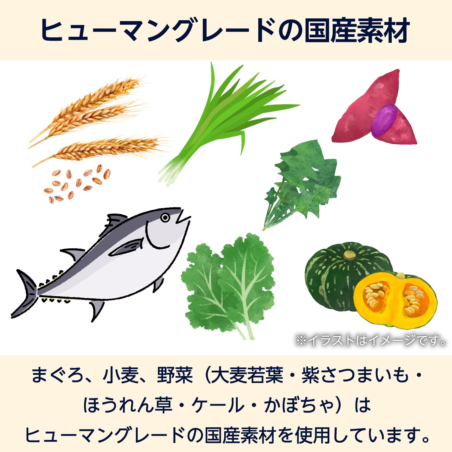 Amazon.co.jp: by Amazon 素材こだわり ドライキャットフード まぐろ味