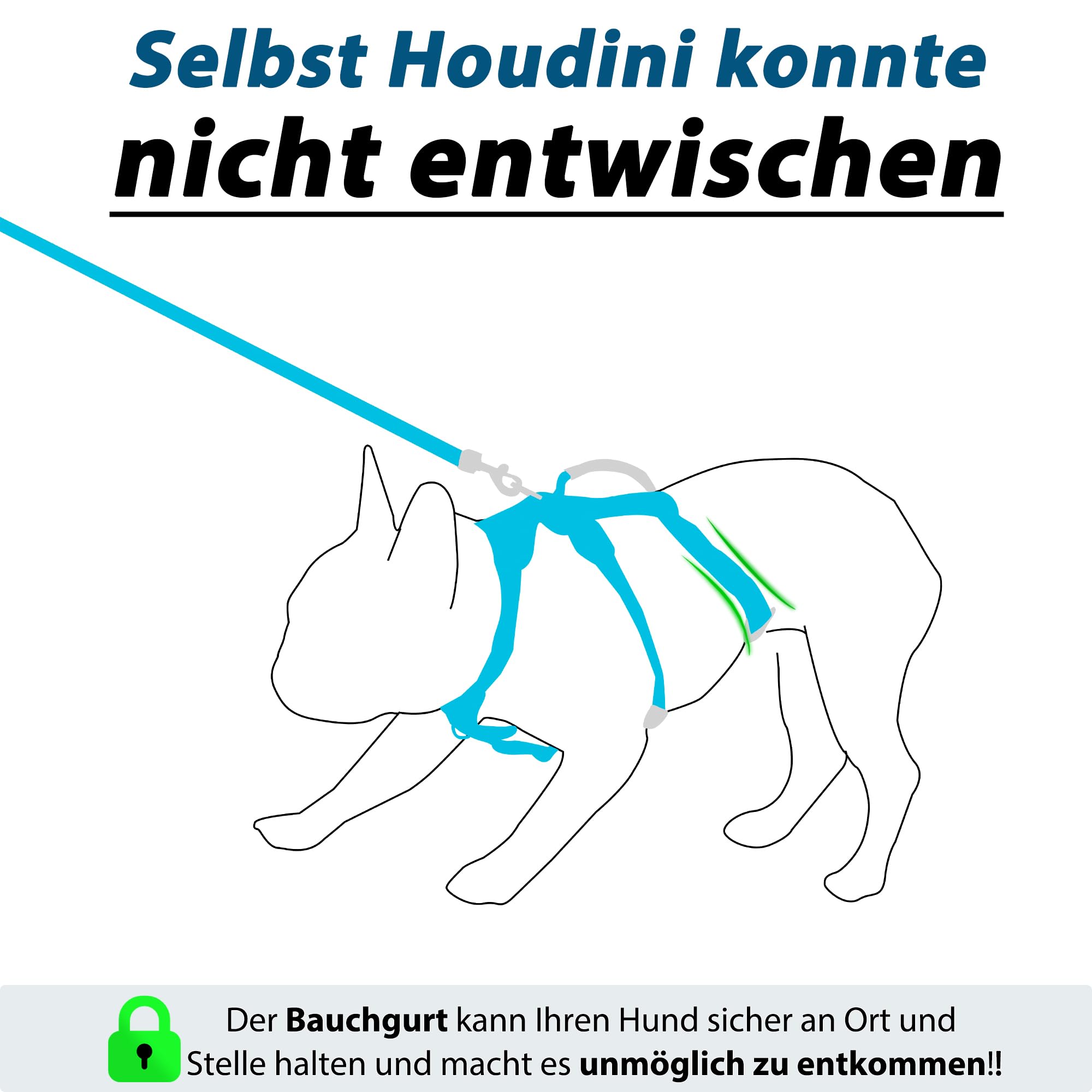 Hundegeschirr mit Leine, Sicherheitsgeschirr Hund Ausbruchsicher, Anti Zug Hundegeschirr mit Assistenzgriff und Reflektierende, Leichtes Verstellbare Geschirr für Mittelgroße Hunde (Blau,S)