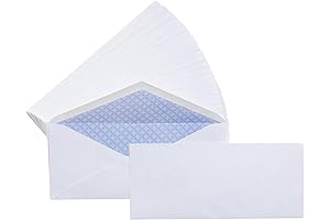 Protect Your Privacy with Amazon Basics #10 Security Envelopes