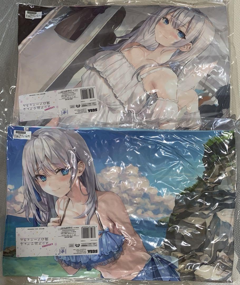 Amazon.co.jp: ロシア語でデレる隣のアーリャさん プレミアム