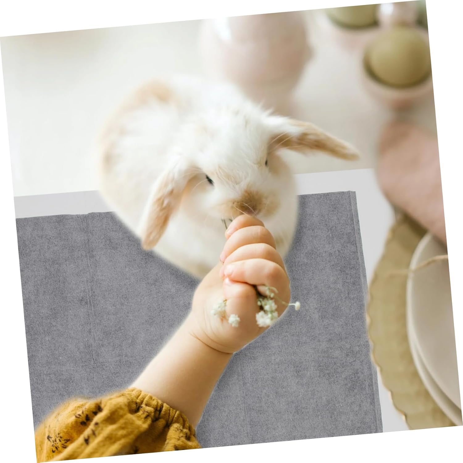 100pcs Pee Training Mat Leakproof Pet Urine Cushion for Indoor Use Absorbent Bunny Urine Pad for Training and Comfort