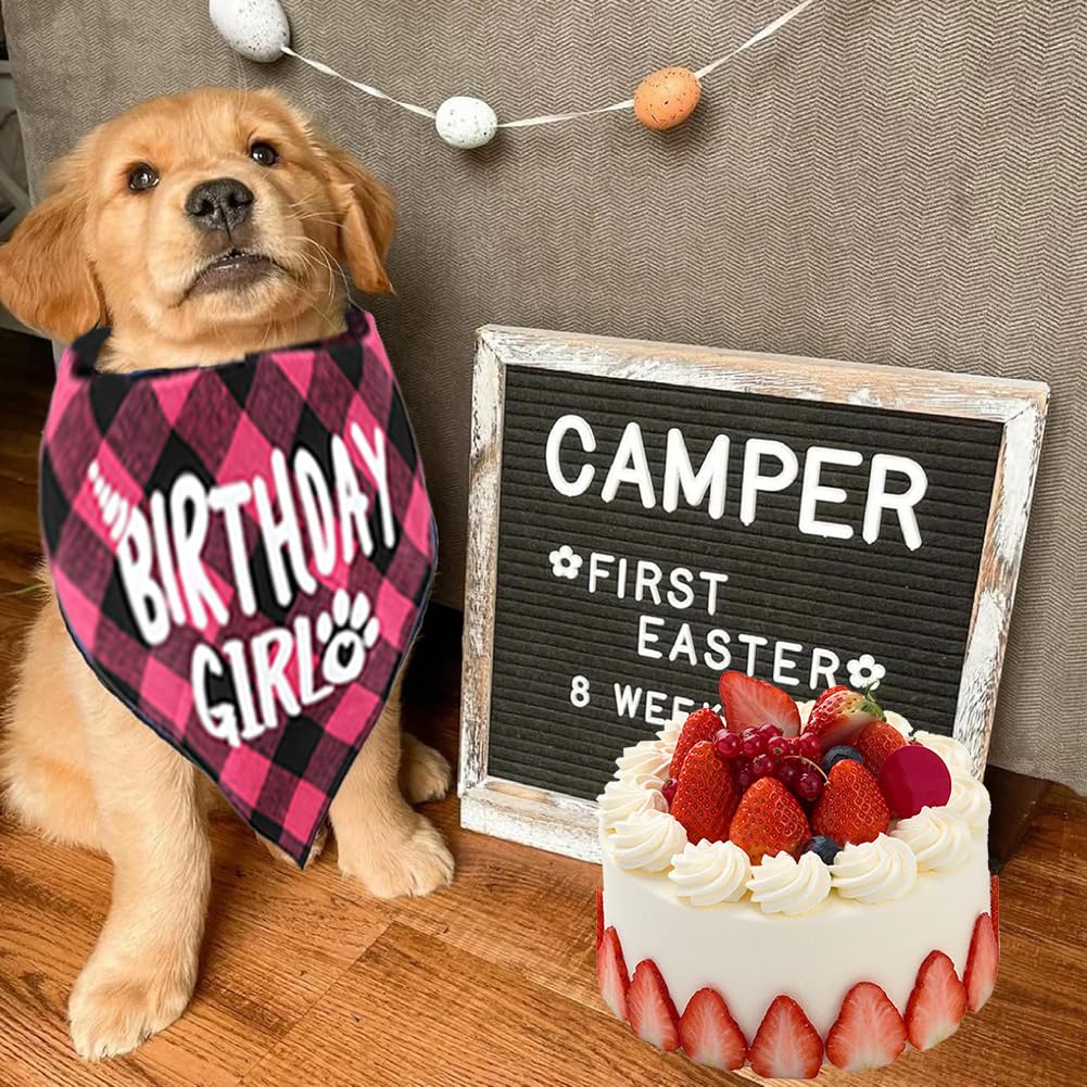 Set Compleanno Cane - Cappello E Bandana Con Numeri Glitter Per Feste