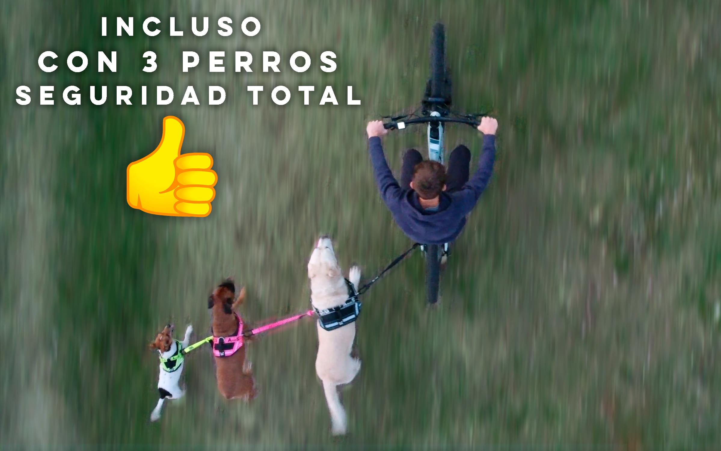 Correa y Arnés de Perro para Bicicleta, arnés con 3 Anillas, 2 Son Laterales, Incluye 2 Bridas Especiales para Bicicleta. Patentado. (XL, Rosa)