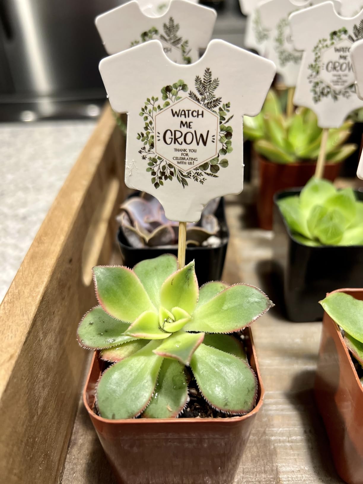 Great for party favors