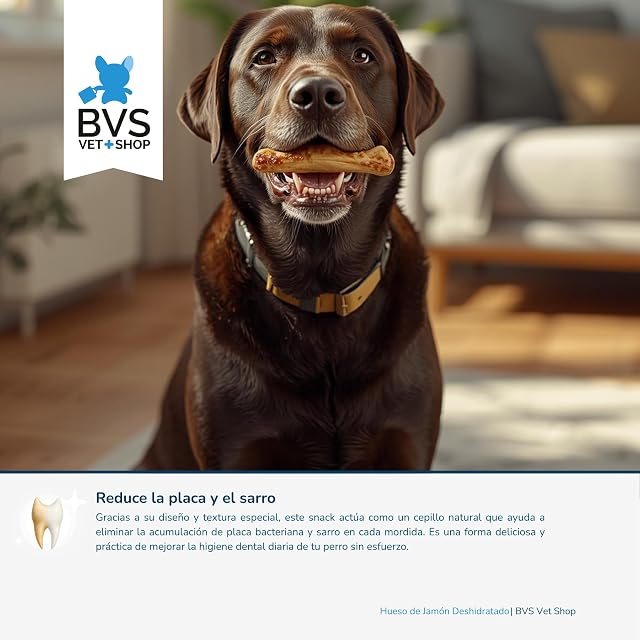 Foto 3 de 7 de BVS Vet Shop