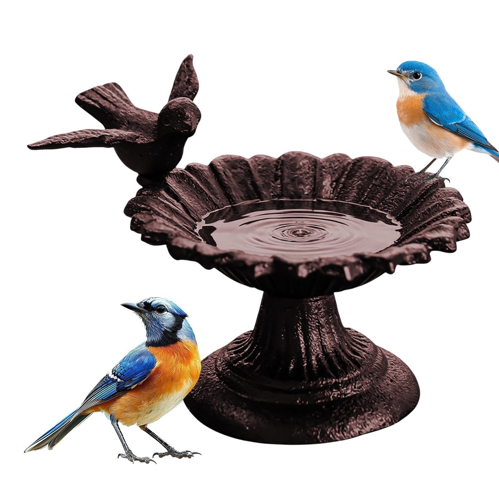 Mangiatoia decorativa per uccelli da giardino | Vasca per uccelli in ghisa per esterni per colibrì cortile patio terrazza prato terra tavolo