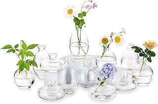 Glass Bud Vases Set of 12, Hewory Cute Clear Small Vases Handmade, Mini ...