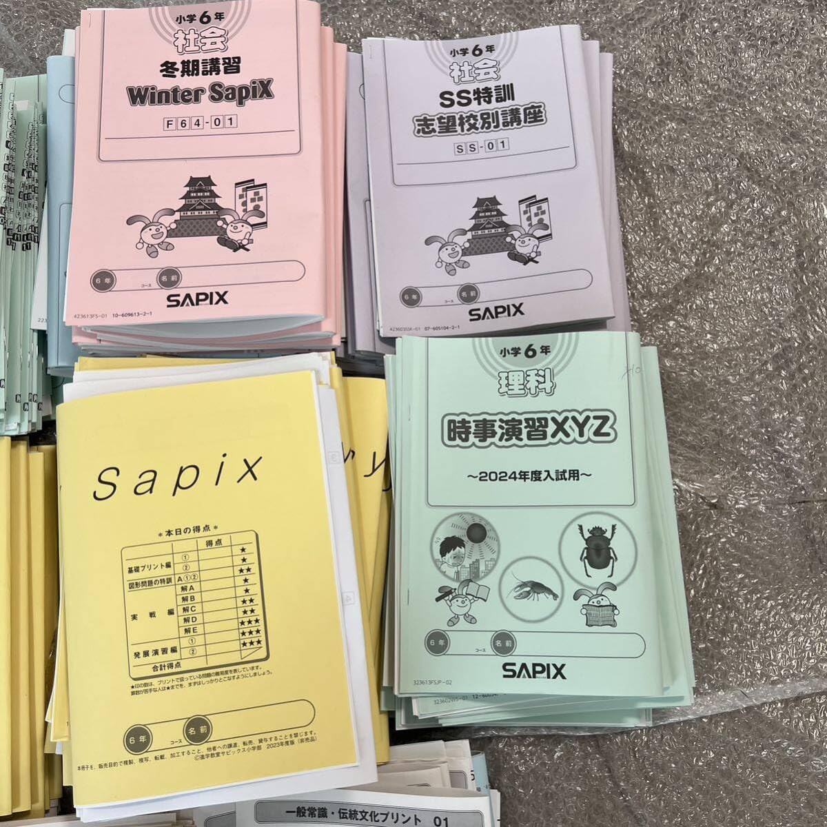 SAPIX 6年 ㉓な サピックス 最新版2023年 ディリーサピックス 理科 