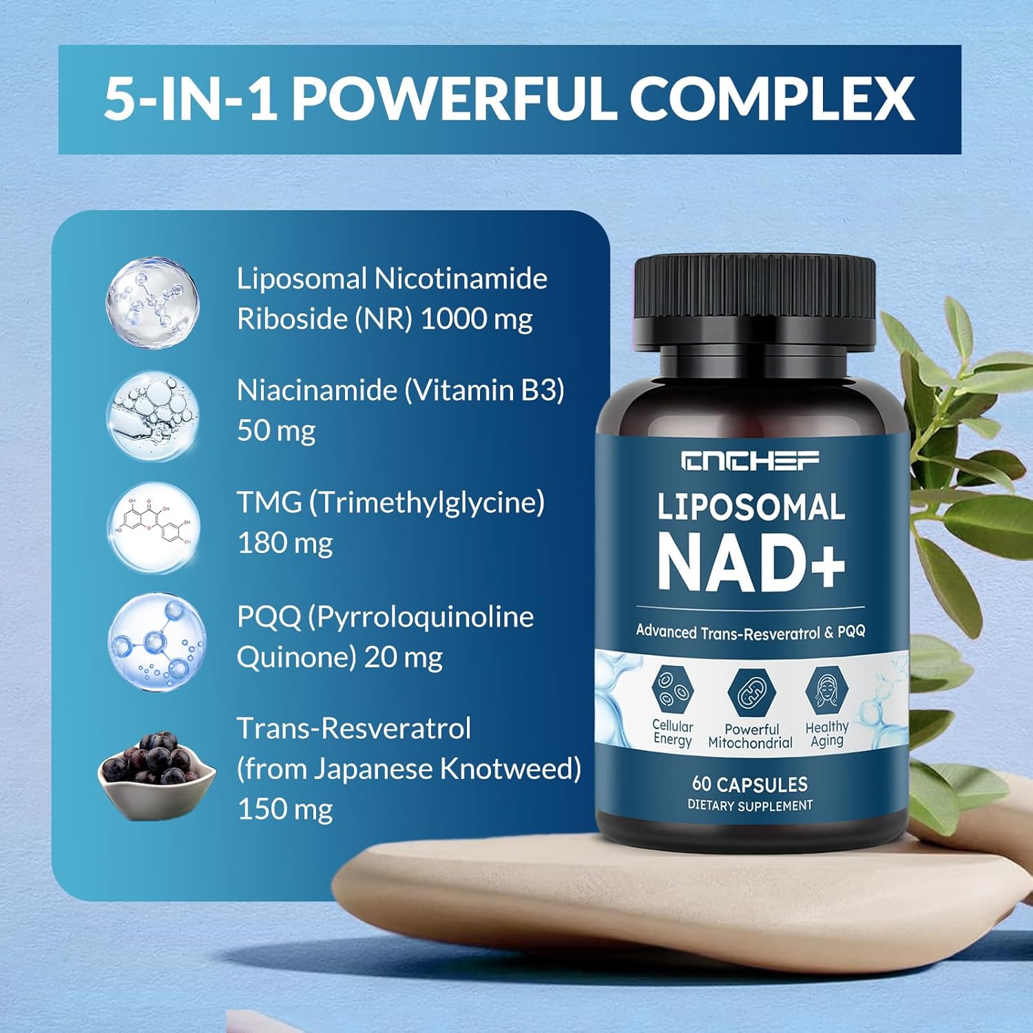 Liposomal NAD Supplement -1000mg, NAD Resveratrol Supplement for Women & Men with Nicotinamide Riboside, Resveratrol, PQQ & TMG, NAD Plus Boosts NAD+ Levels, Anti-Aging & Brain, 60 Capsules - Image 2