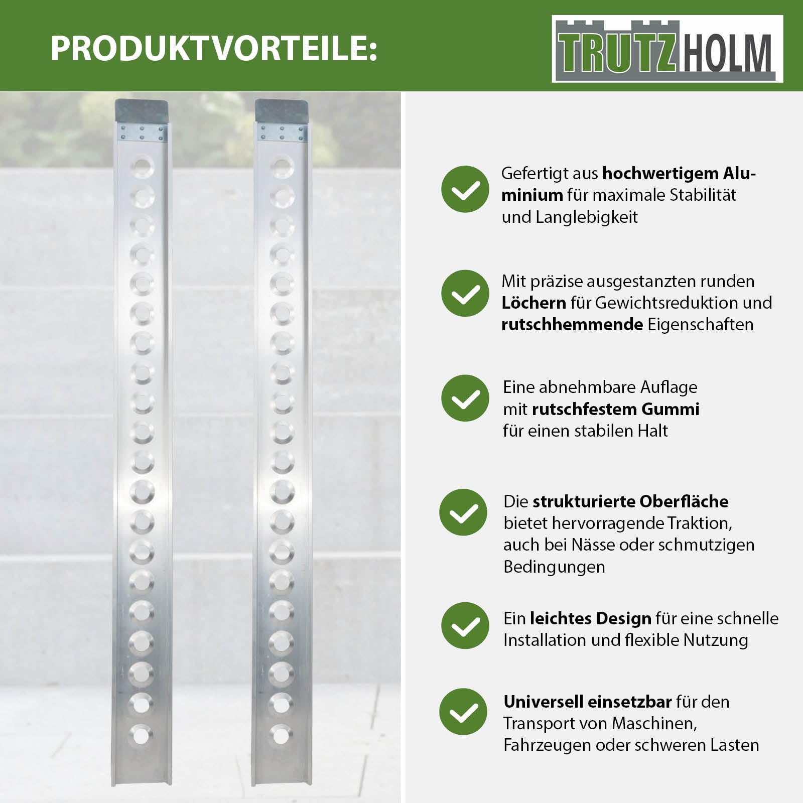 TRUTZHOLM 2X Auffahrschiene Aluminium Länge 194 cm Traglast 200 kg je Stück Verladerampe Moped E-Bike Fahrradrampe inkl. 2X Spanngurt grau