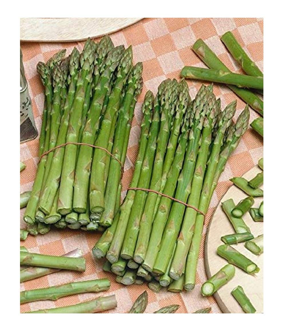 Buy Asparagus UC157 FBA4487se (Green) 50 NonGMO, Hybrid Online at