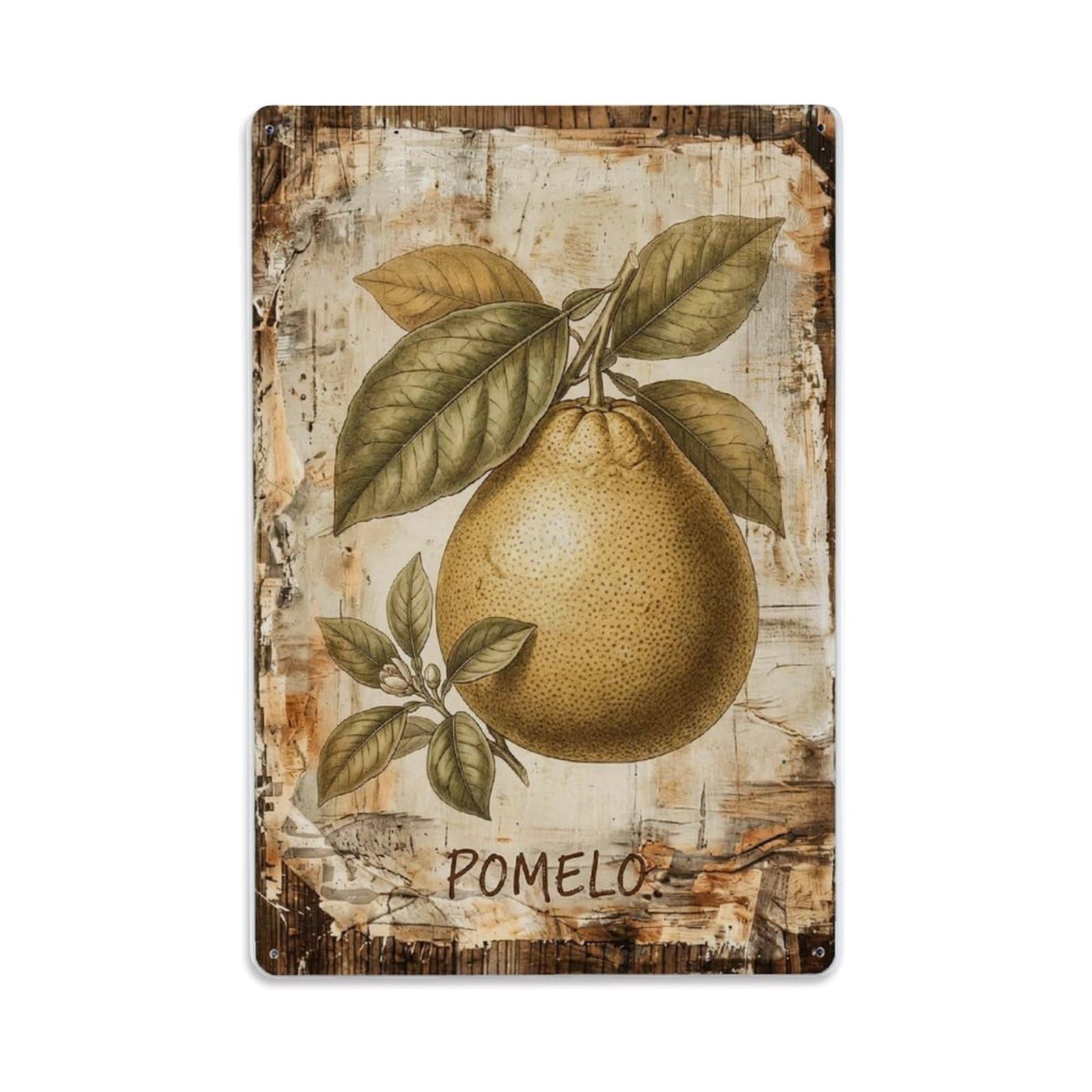 Fqnyr Style Pomelo Citrus Fruit Metal Tin Sign Plaque Wall Decor For Cafe, Club Bar, Office, Home Garden Metal Poster 8X12inch