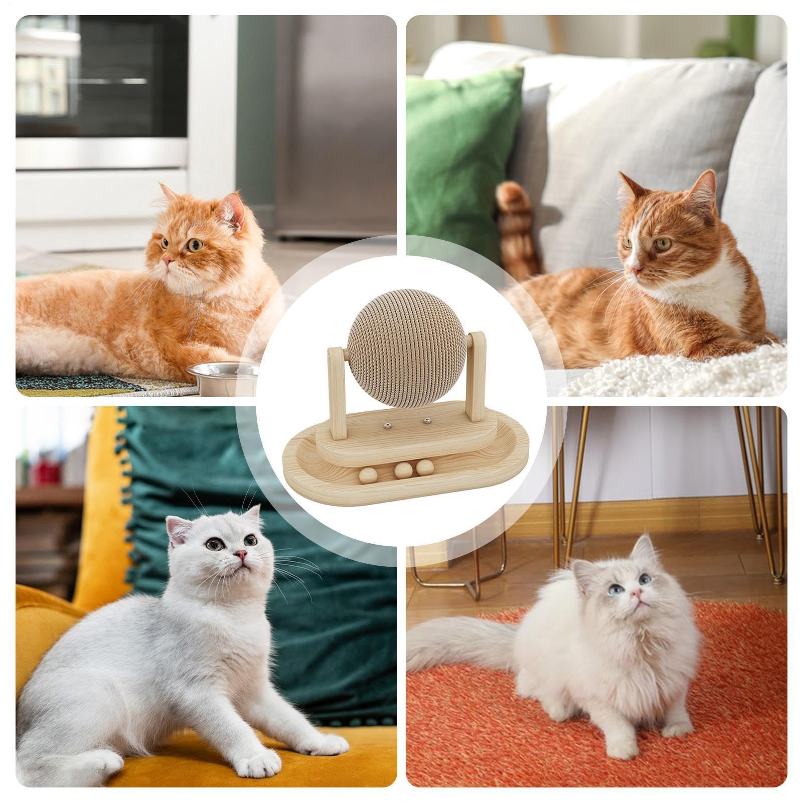 Boule À Griffes Pour Chats D'Intérieur Divertissement Pour Chiot