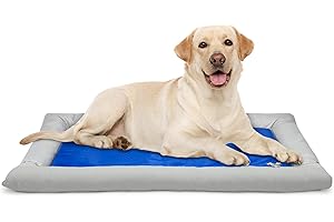 Solid Gel-Based Arf Cooling Mat with Bolster Bed