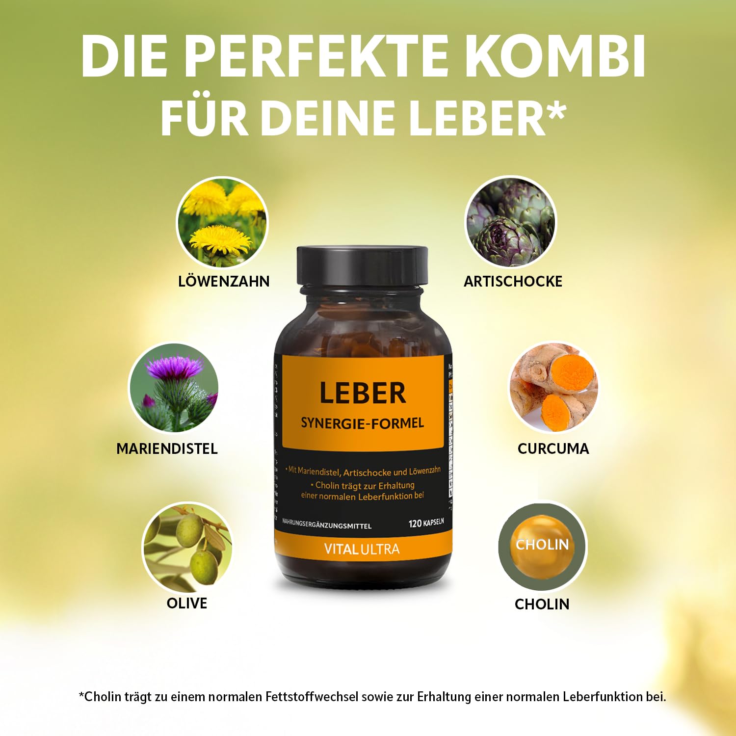 Vital Ultra Leber Synergie-Formel – mit Cholin zur Unterstützung von Leberfunktion und Fettstoffwechsel* sowie Vitamin B6, Mariendistel, Curcumin und wertvollen Pflanzenstoffen – 120 vegane Kapseln