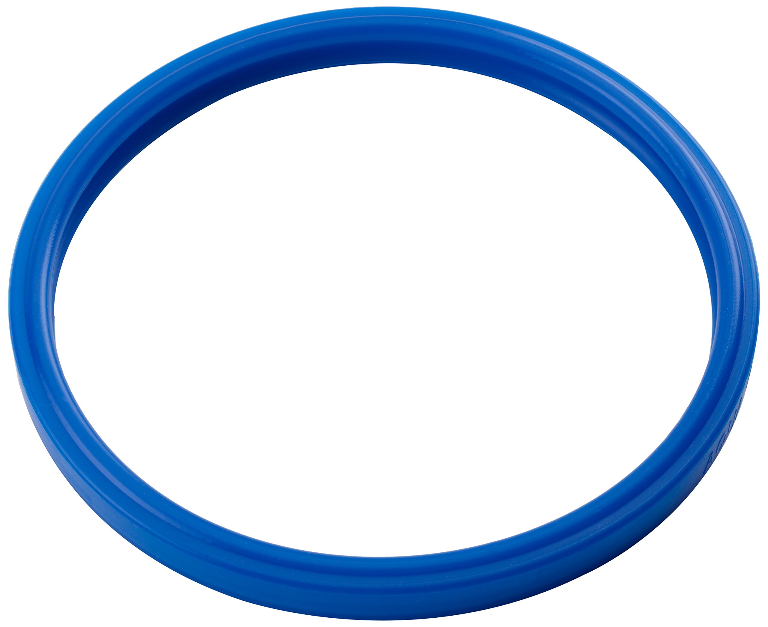 Pool Patch ABSSPG Sub Seal 100-Percent Silicone Pool Light Gasket for Amerlite Pentair 79101600Z