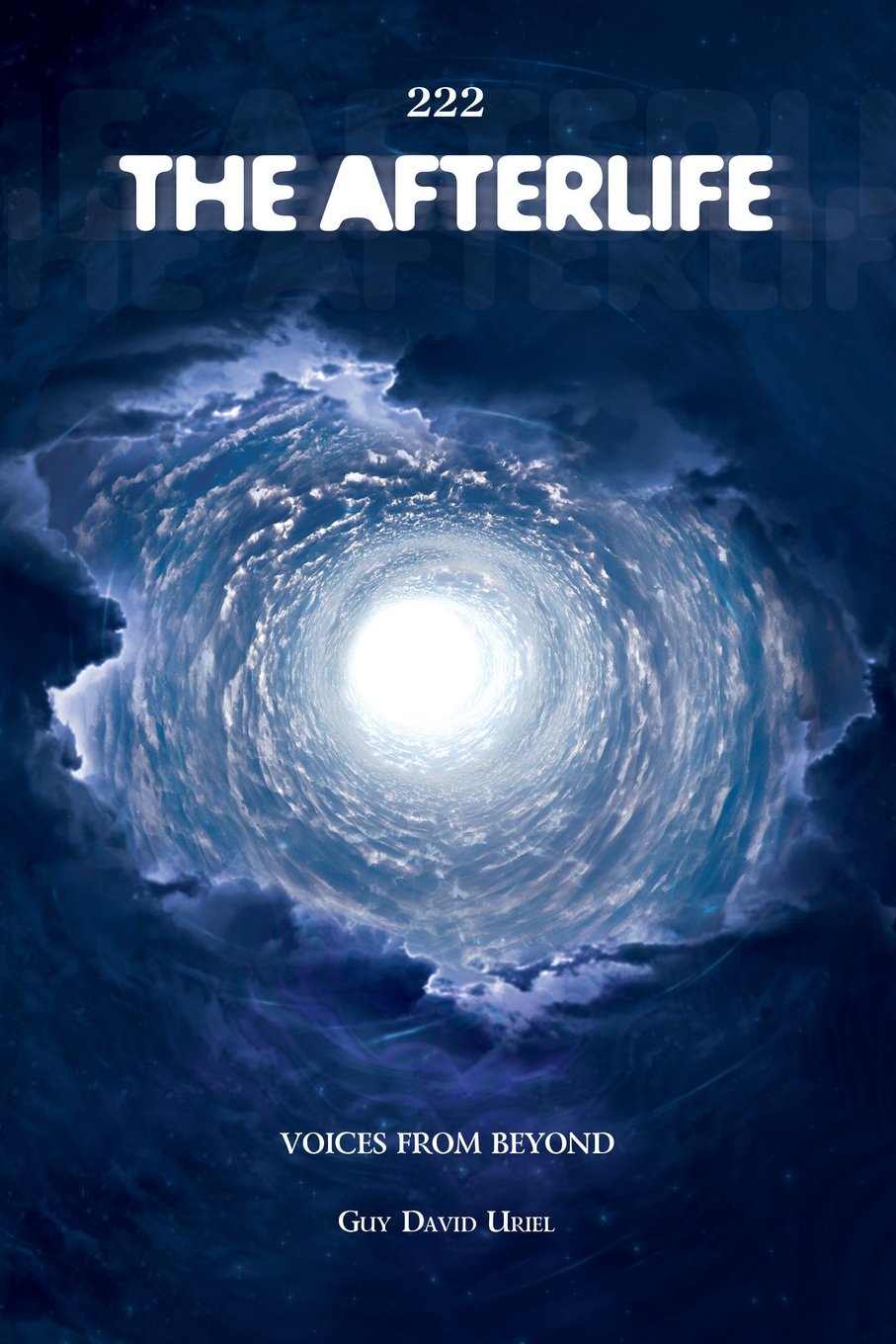 222 The Afterlife: Voices From Beyond